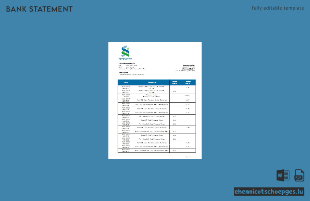 Beispiel eines Kontoauszugs der Standard Chartered Bank in Simbabwe (Vorschau)